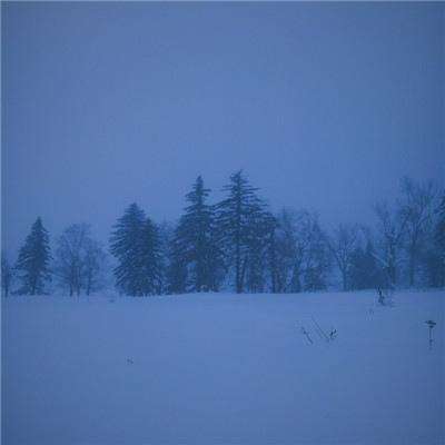 大发彩票正规平台