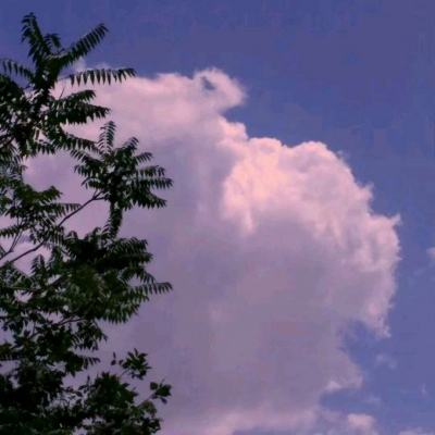 爱游戏com下载手机版