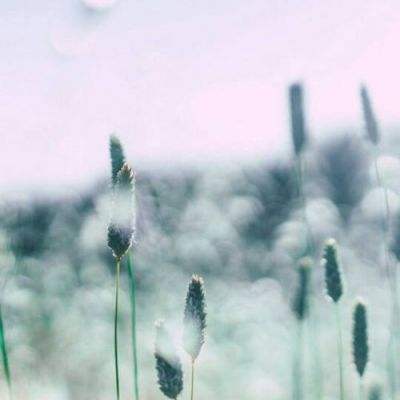 BB贝博平台登录appapp下载