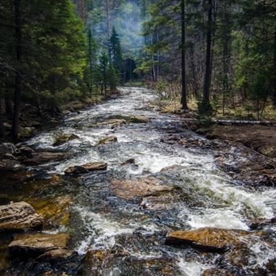 十大正规彩票网站截图