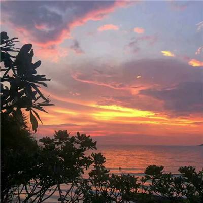 凤凰彩票56677官网入口查询